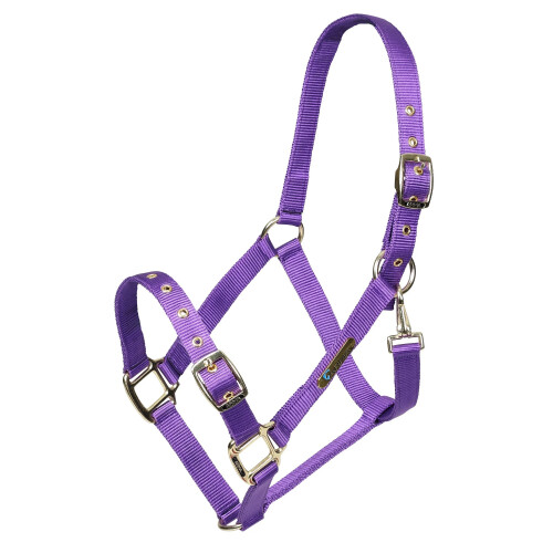 (Cob, Purple) ARMA Adjustable Horse Headcollar
