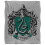 Harry Potter Harry Potter Silky Slytherin Crest Supersoft Blanket 1