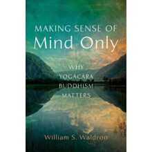 Making Sense of Mind Only by William S Waldron Paperback Book