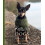 Knits for Dogs by Stina Tiselius Hardcover Book 1