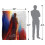Superman Superman Lookup Silky Poster Supersoft Blanket 5