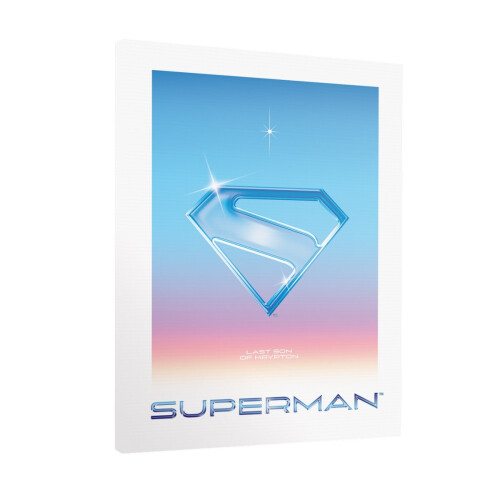 Superman Superman 2025 Logo Canvas Print 1