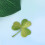 10Pcs Durable Green Patch Appliques DIY Decoration for Clothes 6