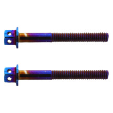 6Pcs Electric Motorcycle License Plate Screws Alloy Iridescent Finish