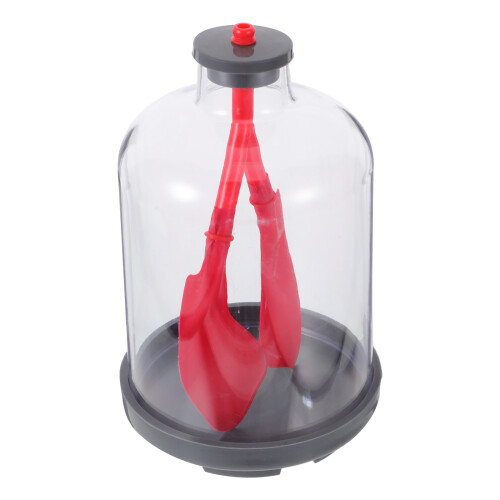 2Pcs Interactive Lung Breathing Model with Diaphragm for Classroom Use