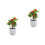 2Pcs Realistic Artificial Potted Fruit Tree For Home Office Decor 6