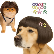 Grappige Huisdier Perücke - DIY Knipbeurt & Verstelbare Pasvorm - Kat & Hond Kostuum voor Halloween, Feest, Foto's