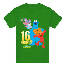 (XL, Kelly Green) Sesame Street Unisex Adult 16th Birthday T-Shirt
