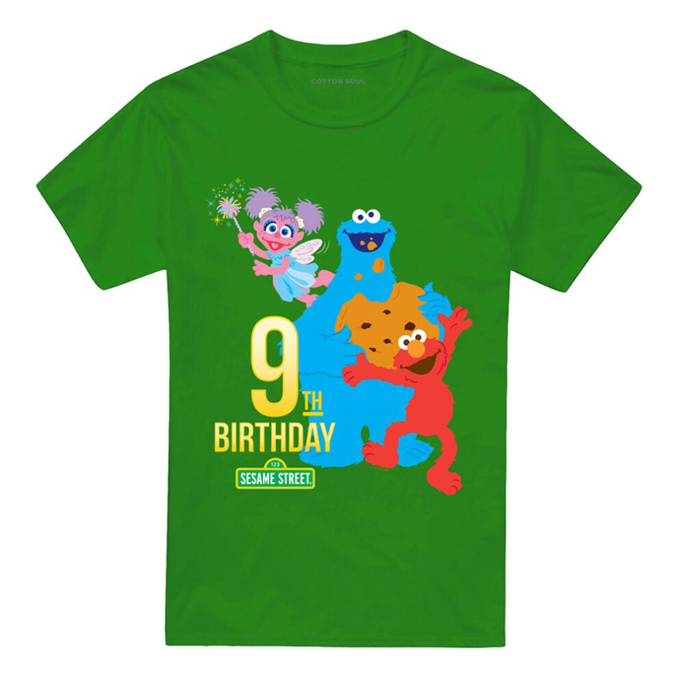 Sesame Street (4Xl, Kelly ) Unisex Adult 9Th Birthday T-Shirt Green