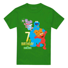 (L, Kelly Green) Sesame Street Unisex Adult 7th Birthday T-Shirt