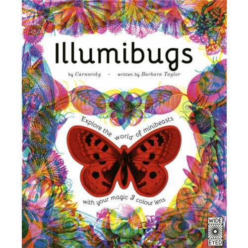 Illumibugs by Barbara Taylor Hardcover Book
