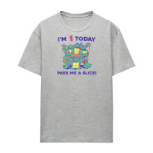 (XXL, Athletic Heather) Teenage Mutant Ninja Turtles Womens/Ladies Pizza Heather Birthday T-Shirt