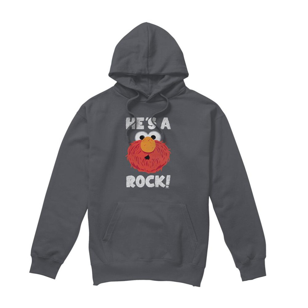 Sesame Street (M, Charcoal) Unisex Adult He's A Rock Hoodie Multicoloured