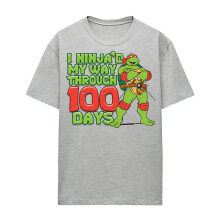 (M, Athletic Heather) Teenage Mutant Ninja Turtles Womens/Ladies I Ninja'd My Way Through 100 Days Heather T-Shirt