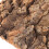 6Stk Terrarium Hintergrund Reptil Pflegeleicht 11