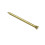 Challenge Challenge Brass Panel Pins 20mm Clam Pack 60g 1