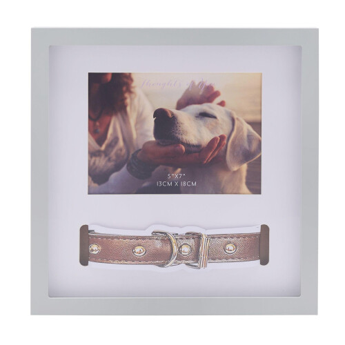 Celebrations Thoughts Of You Pet Collar Frame