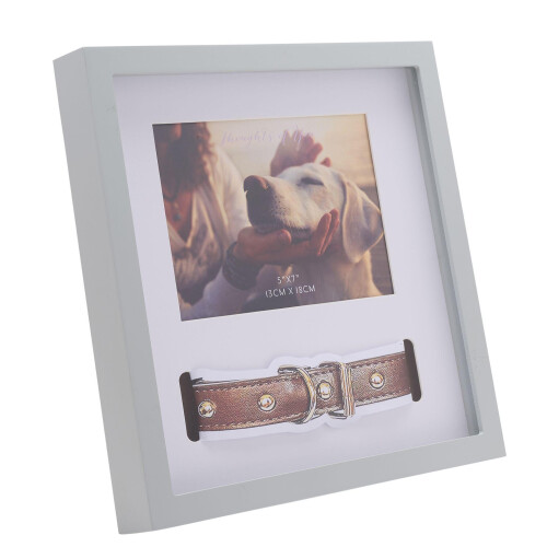 Celebrations Thoughts Of You Pet Collar Frame 1