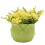 Celebrations The Cottage Garden Planter Small - Cabbage 2