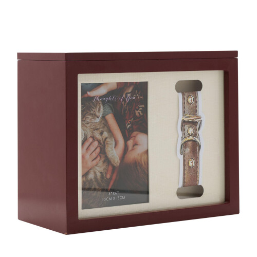 Celebrations Thoughts Of You Pet Memorial Box 1