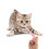 12Pièces De Médicaments Pour Chats Silicone Doux Usage Facile 10