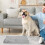 2Pcs Grey Cotton Pet Heating Pad No Electric Self Warming Mat for Pets 9