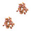 2Pièces Roses Séchées Pour Décorations 5