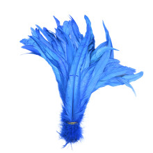 100Pcs Tail Premium Natural Material for Crafts