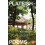 Flatfish by TaeJun Moon Paperback Book 1
