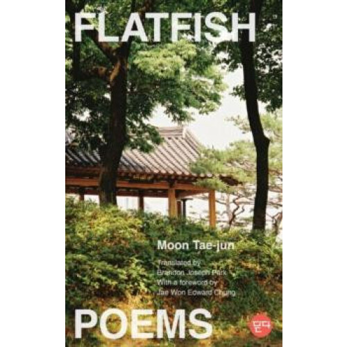 Flatfish by TaeJun Moon Paperback Book