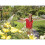 Hozelock Hozelock 2697 Lance Spray Plus Long Reach 90cm 2