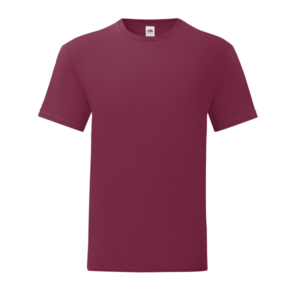 Fruit Of The Loom (3Xl, Burgundy) Mens Iconic 150 T-Shirt Red,Multicoloured