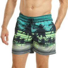 (M, Lime/Blue) RIPT Essentials Mens Palm Tree Swim Shorts