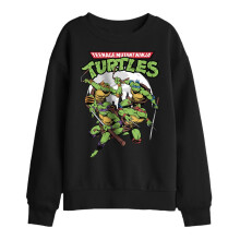 (12-13 Years, Black) Teenage Mutant Ninja Turtles Childrens/Kids Midnight Group Sweatshirt
