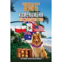 King Kamehameha Goes Globetrotting by Antonina Irena Brzozowska Paperb
