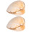 2Stk Orange Muschel Sample Wissenschaft Lehrtool Und 4