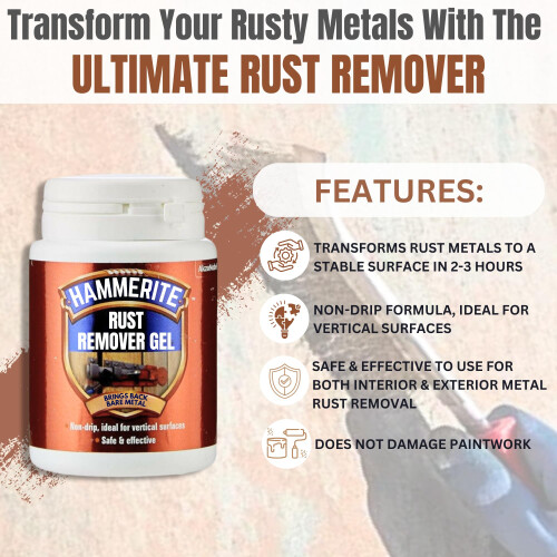 Rust Remover for Metal Bundle with 100ml Hammerite Rust Remover Gel Wire Br 1