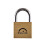 Squire Squire Lion Marine Padlock 1