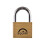 Squire Squire Lion Marine Padlock 1