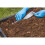 MidOcean Roll Herb Seeds 7