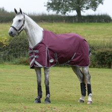 (4' 6", Maroon/Grey/White) Weatherbeeta Comfitec Plus Dynamic II Standard-Neck 220g Horse Turnout Rug