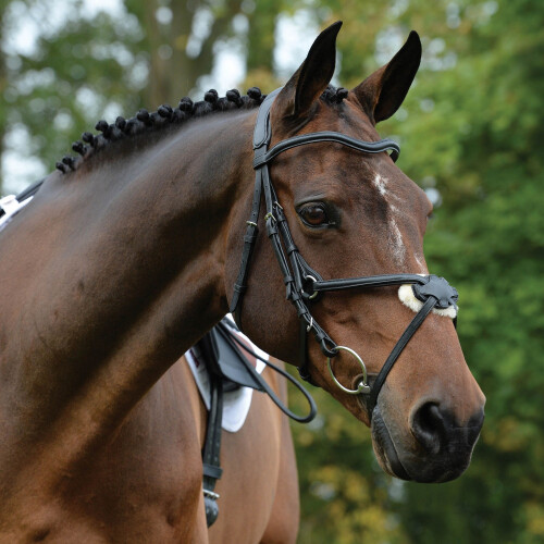 (Cob, Black) Collegiate Comfitec Grackle Leather Horse Bridle 2