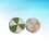 4Pcs Durable Makeup Sponge Powder Flexible for Liquid and Powder 11