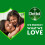 Dettol Dettol Disinfectant Liquid Lavender and Orange 500 ml 6