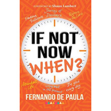If Not Now When by Fernando de Paula Paperback Book