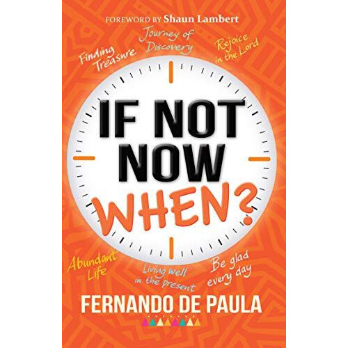 If Not Now When by Fernando de Paula Paperback Book