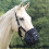 (X Full, Black) Shires Comfort Horse Grazing Muzzle 2