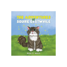 The Adventures of Squire Erstwhile by Anne R. Walsh Paperback Book