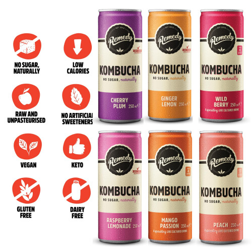 Remedy Kombucha Tea - Rainbow Mixed Pack - Sparkling Live Cultured, 2