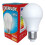 Eveready (14w, Warm White) Eveready LED GLS E27 Bulb 1
